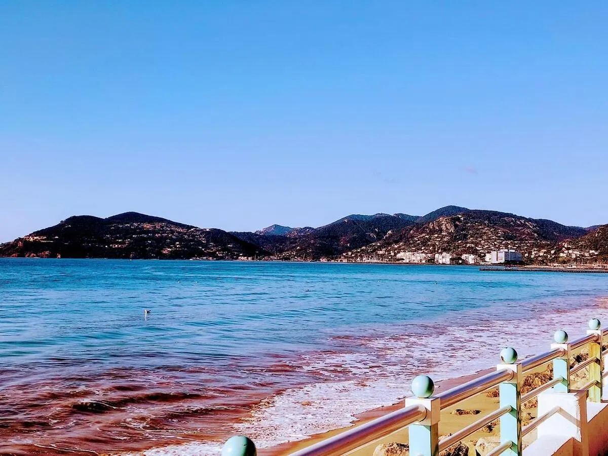 Lägenhet Nouveau ! Studio Avec Terrasse Dans Residence En Face De La Mer - Cannes Midi